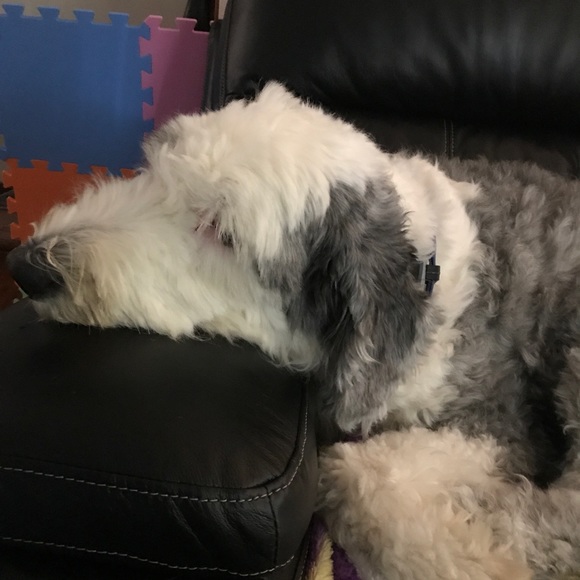 Meet your Posher, Jaxson and Courtney - Picture 2 of 4